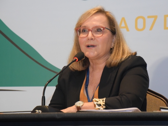 1o fonacre palestrante do painel